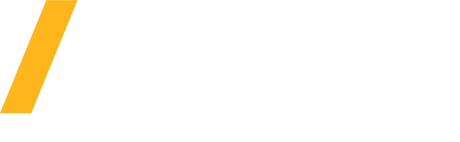 Logo Ansys